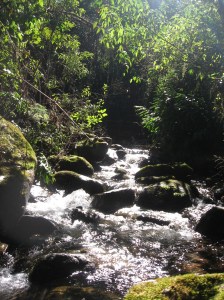 Hiking near Visconde de Maua. The Rio Preto.