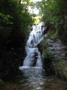 I saw lots of chachoeira, waterfalls, when hiking. 