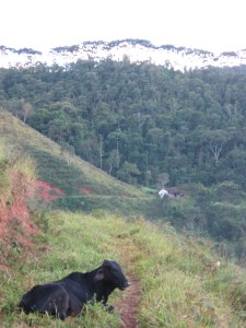 The casinha, little house, where I stayed 1 night and spent a few afternoons. 